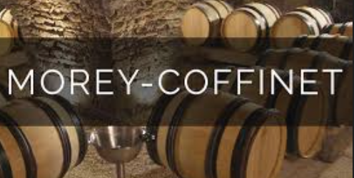 (image for) Morey Coffinet PULIGNY MONTRACHET LES PUCELLES 2020 [GL ]